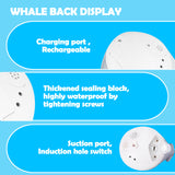 Whale Sprinkler Bath and Water Toy