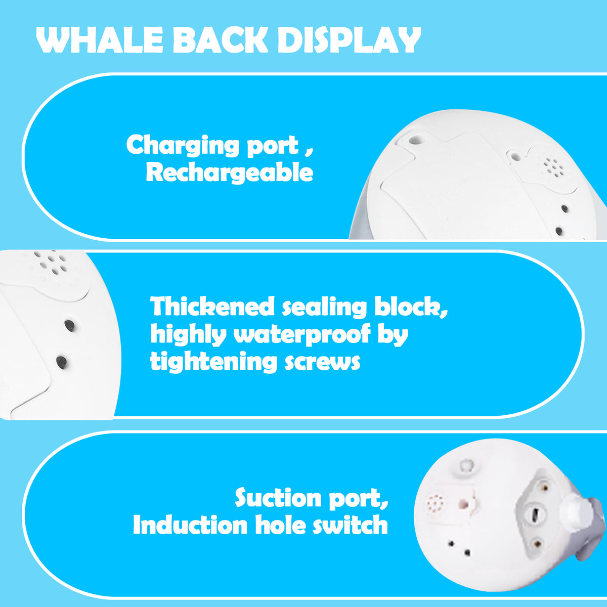 Whale Sprinkler Bath and Water Toy